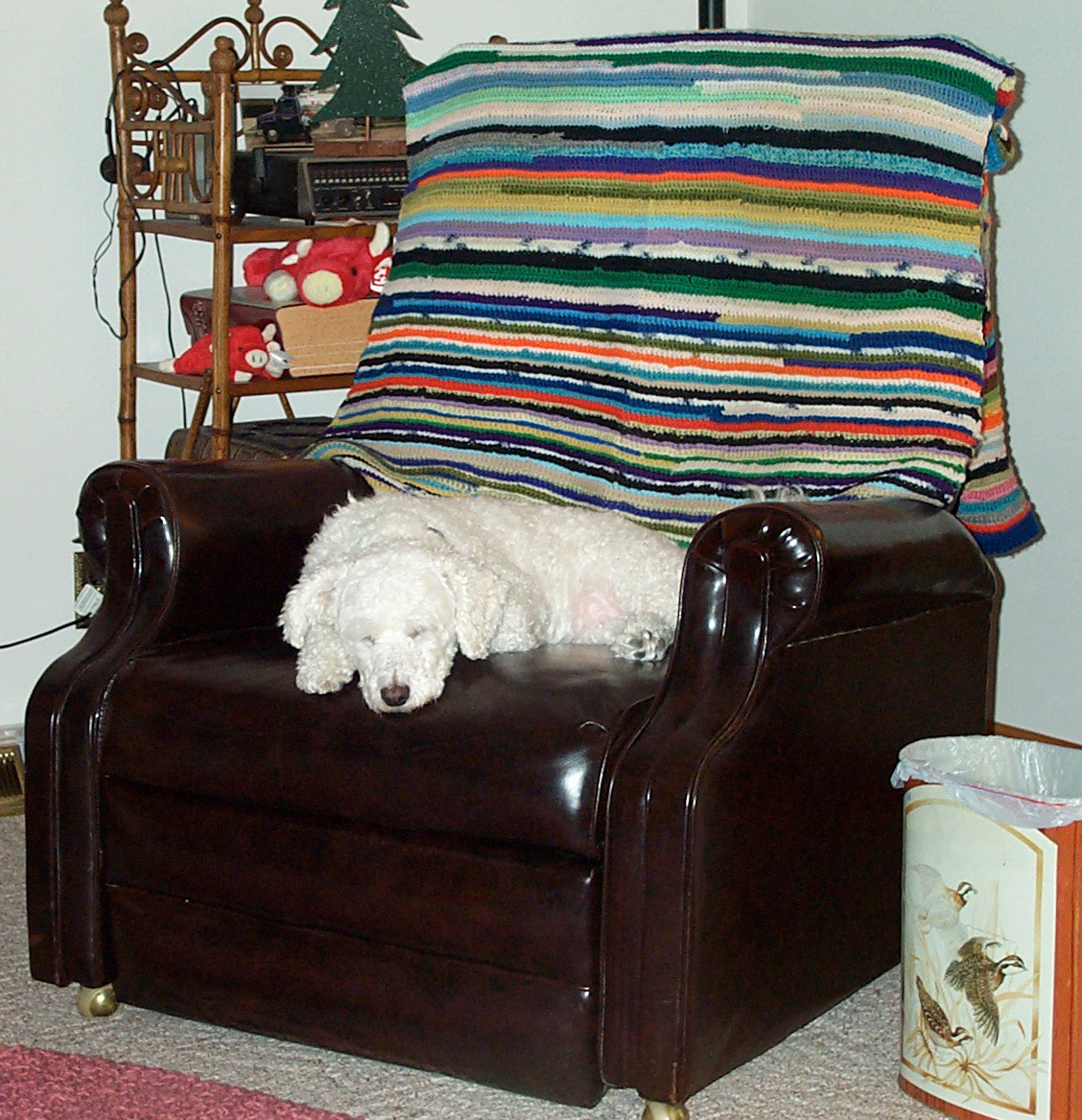 Kodak DC280 ZOOM DIGITAL CAMERA sample photo. Sweet dog sleeping photography