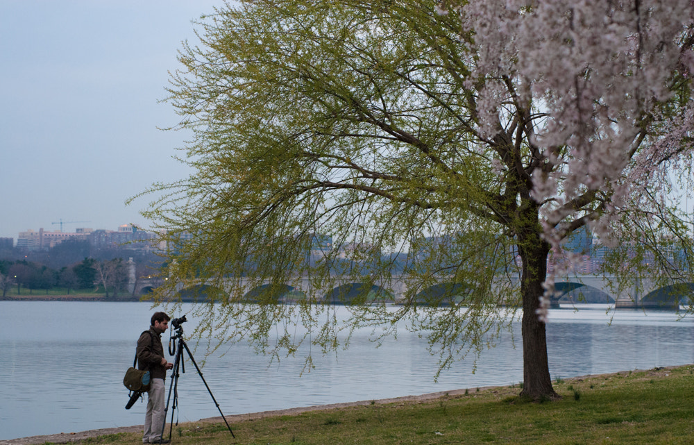 Nikon D200 + Nikon AF Micro-Nikkor 60mm F2.8D sample photo. Missed photography