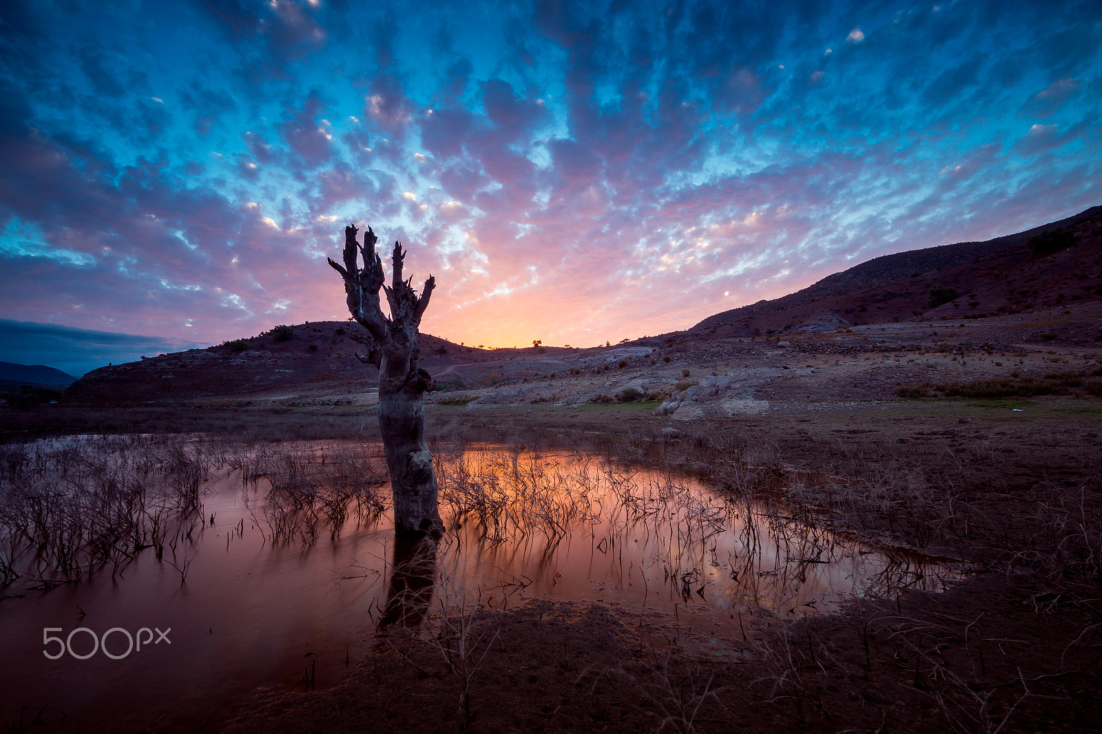 Sony SLT-A58 + 20mm F2.8 sample photo. Sunset at la paloma reservoir photography