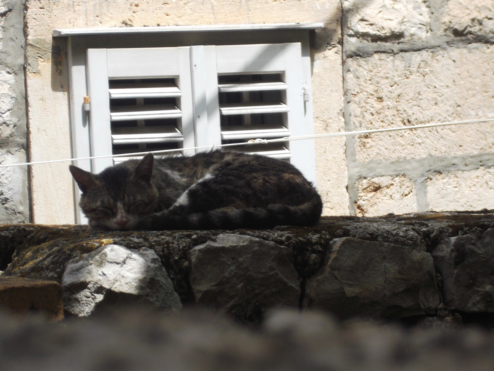 Fujifilm FinePix JX520 sample photo. 060.jpg photography