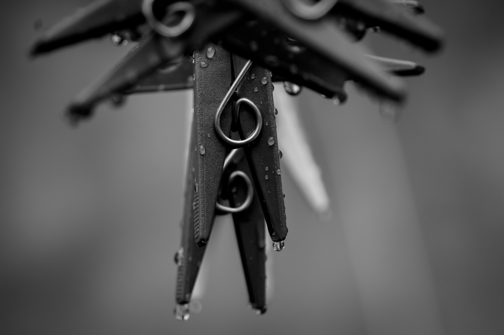 Sony Alpha a3500 sample photo. Hanging rain. photography