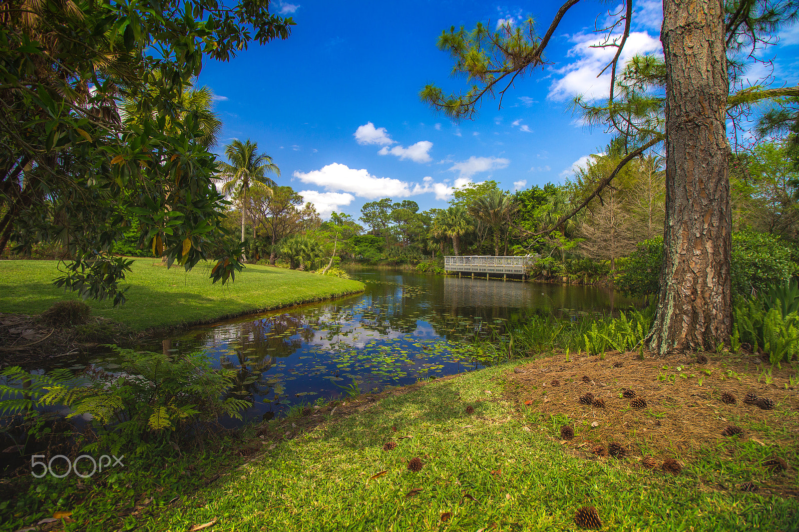 Canon EF-S 10-18mm F4.5–5.6 IS STM sample photo. Emerald nature photography
