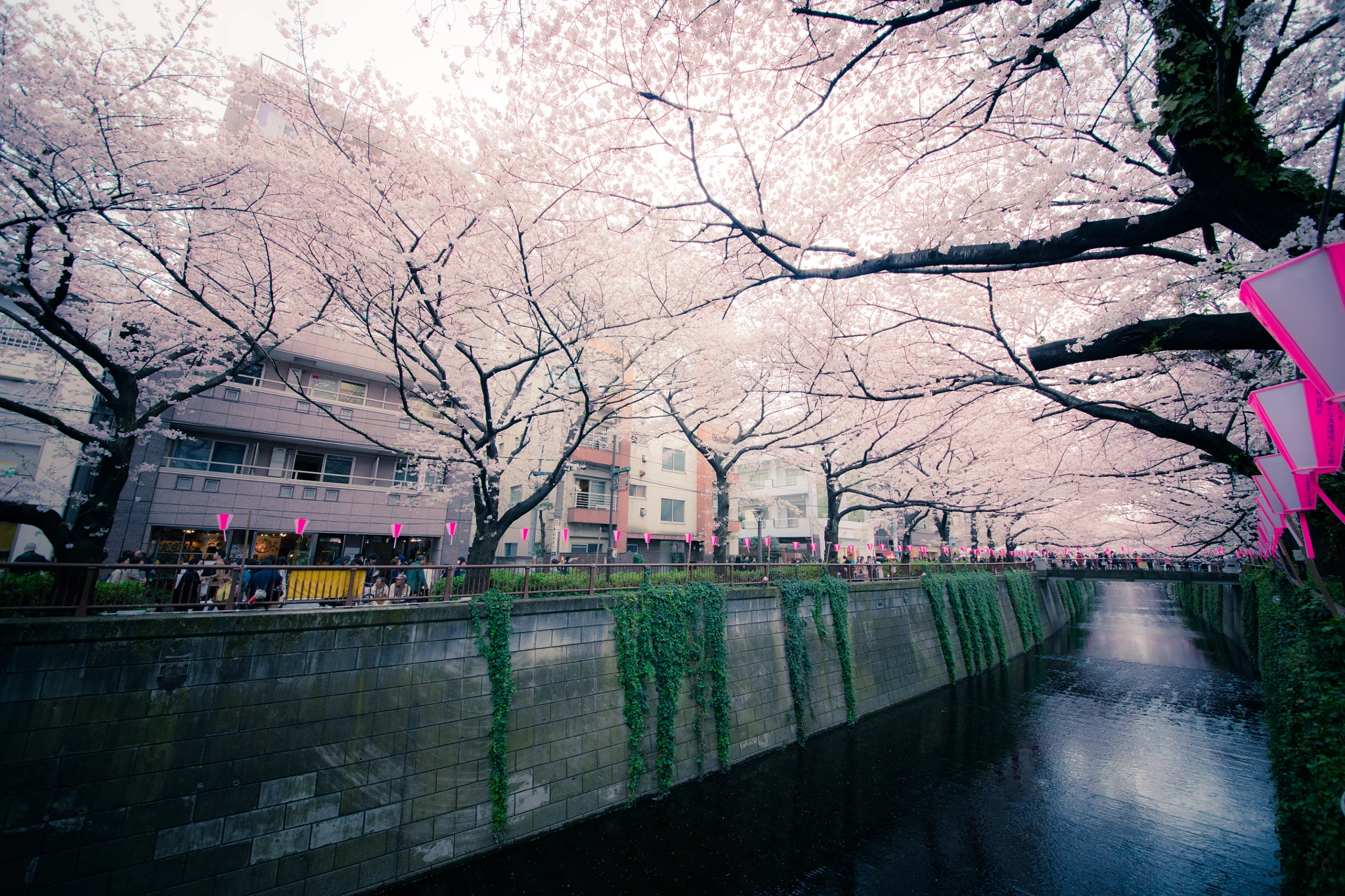 Canon EOS 5DS + Sigma 12-24mm F4.5-5.6 II DG HSM sample photo. Urban spring photography