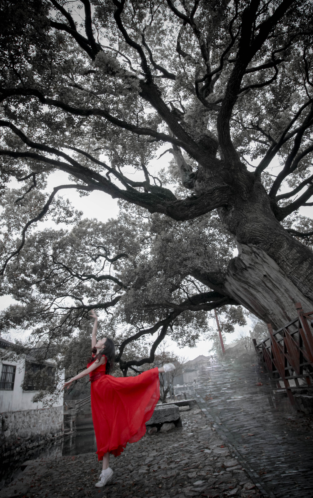 Canon EF-S 10-18mm F4.5–5.6 IS STM sample photo. 千年古树和红裙少女，苏州，西山，明月湾 photography
