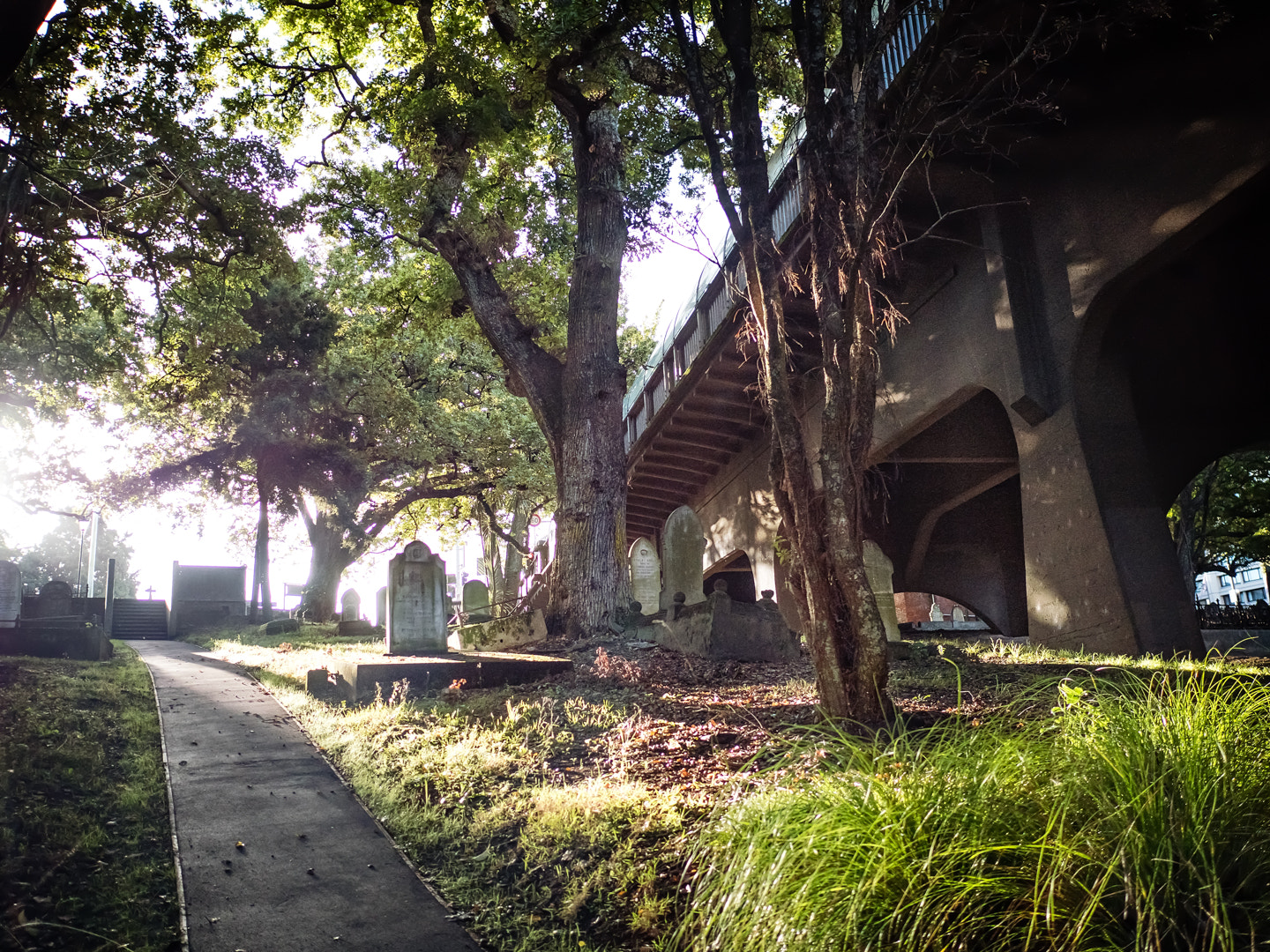 Panasonic Lumix DMC-GX8 + LEICA DG SUMMILUX 15/F1.7 sample photo. Symonds street cemetary photography