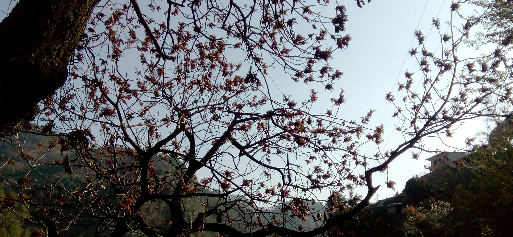 HTC DESIRE 526G+ DUAL SIM sample photo. Mountain paradise  photography