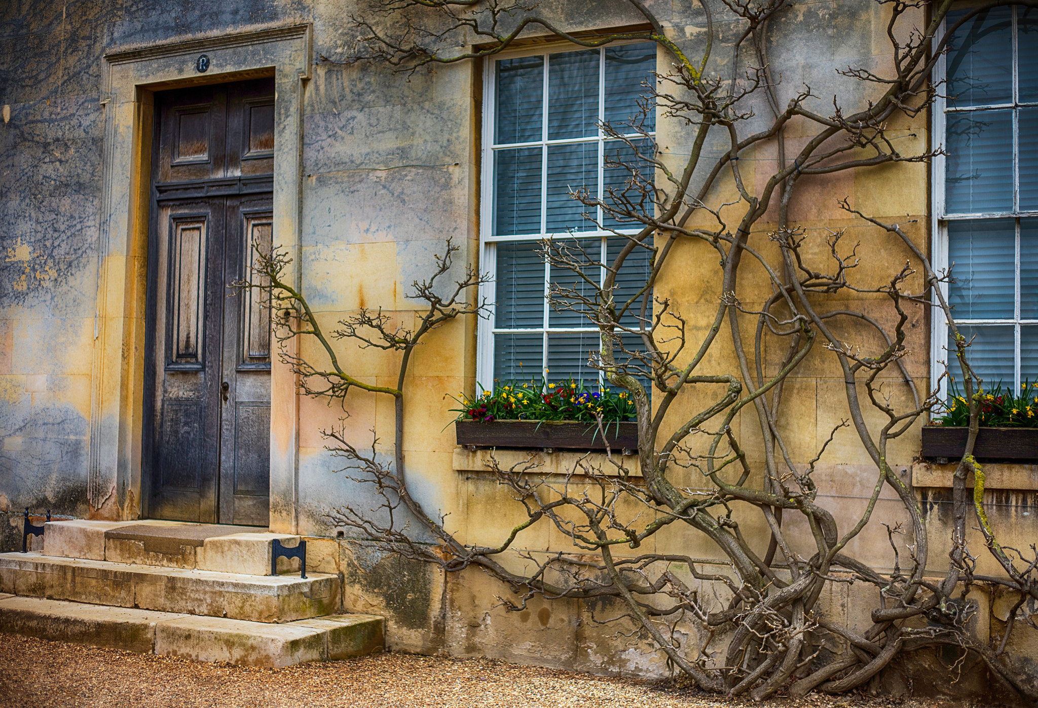 Canon EOS 5DS + Canon EF 50mm F1.8 II sample photo. Cambridge city living. photography