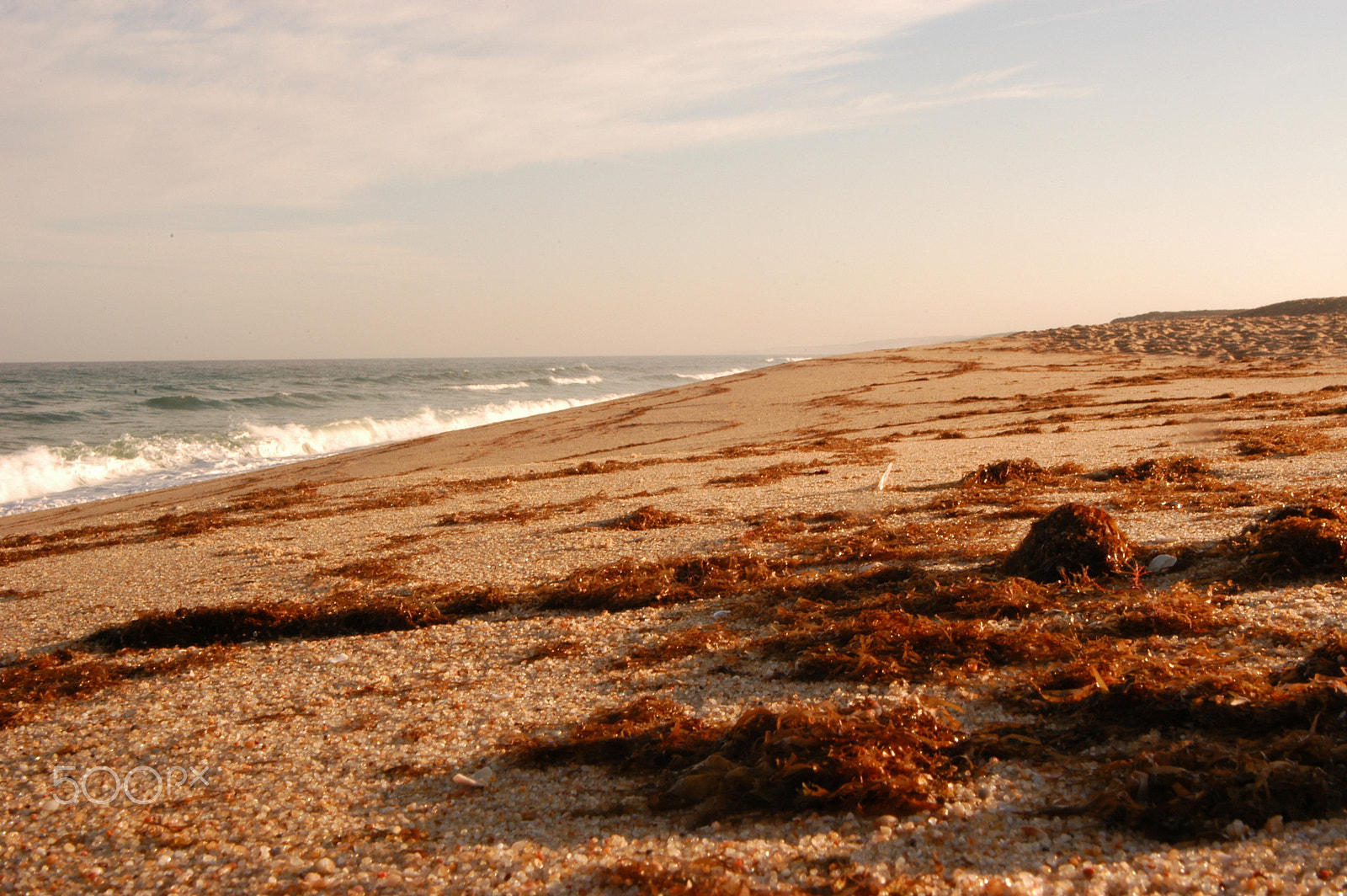 Nikon D100 sample photo. Sea photography