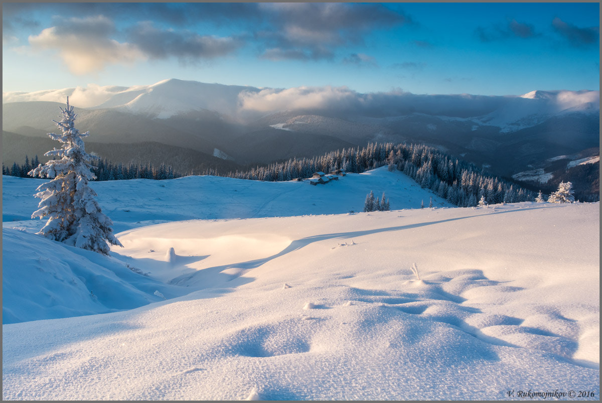 Nikon D7100 + Nikon AF Nikkor 20mm F2.8D sample photo. The game of light photography