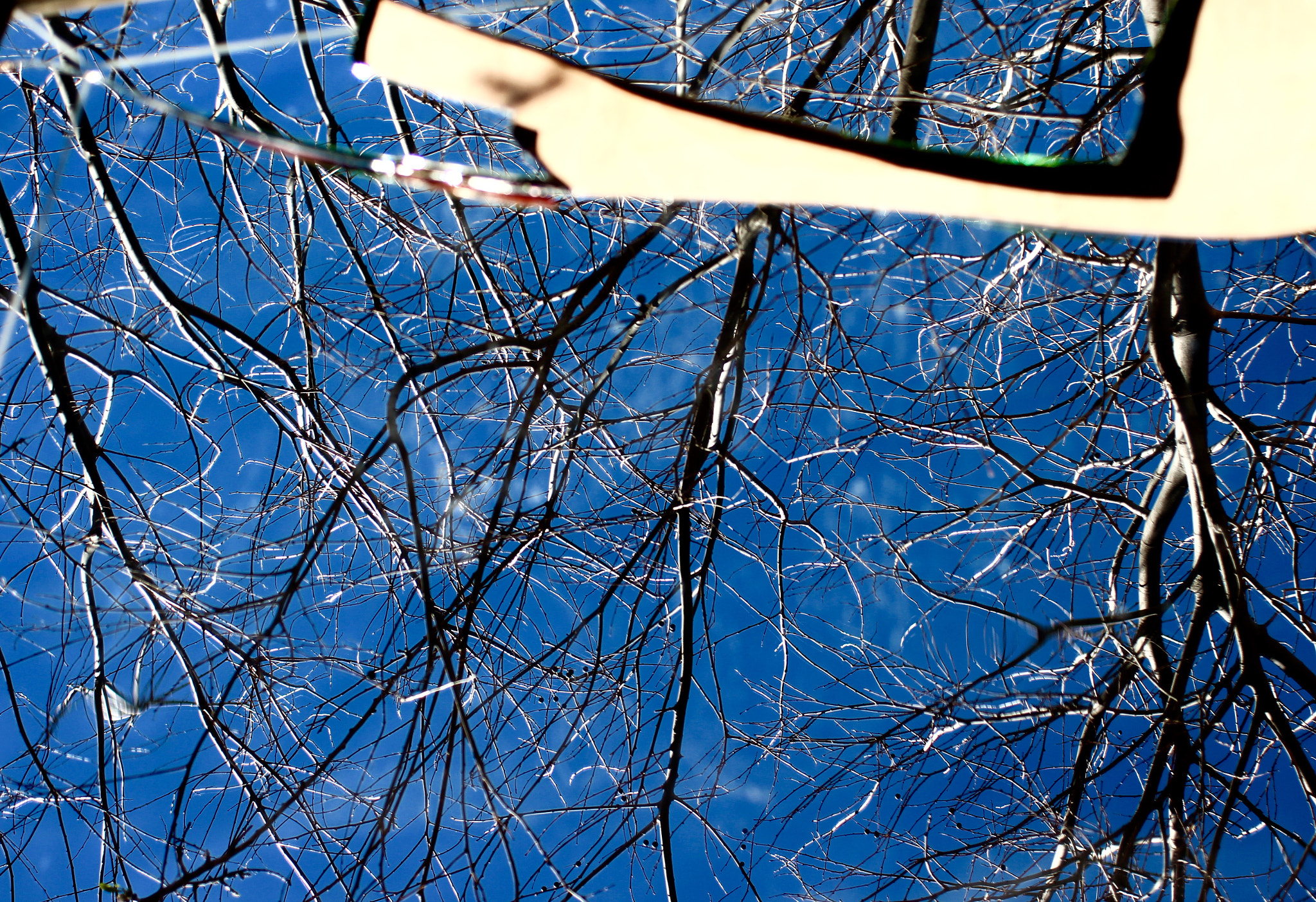 Canon EF 28-80mm f/3.5-5.6 sample photo. . photography