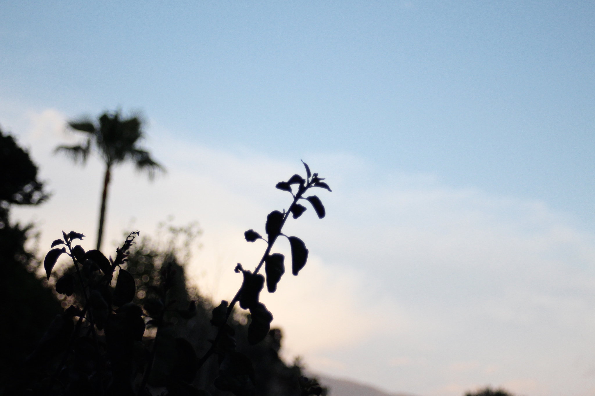 Canon EF 28-80mm f/3.5-5.6 sample photo. La platja. photography