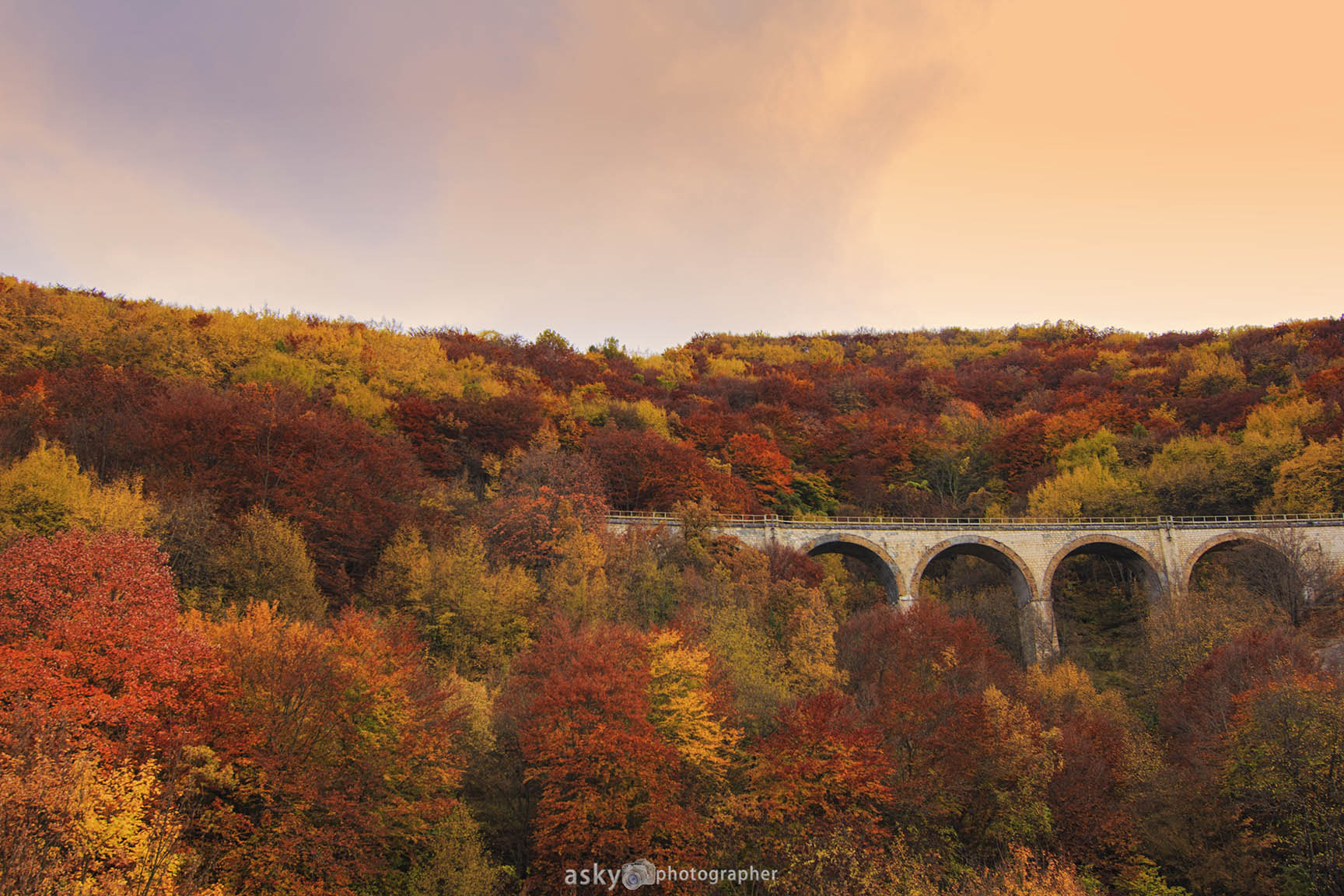 Tokina AT-X Pro 12-24mm F4 (IF) DX sample photo. Colori dell'autunno photography