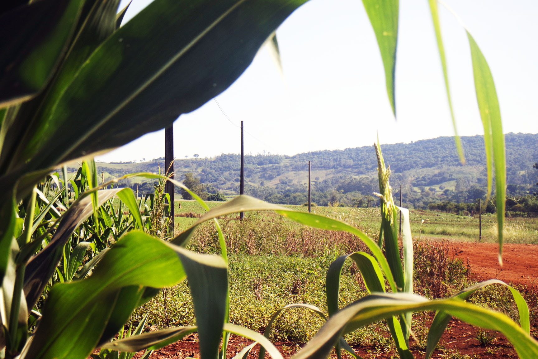 Samsung NX mini sample photo. Área rural photography