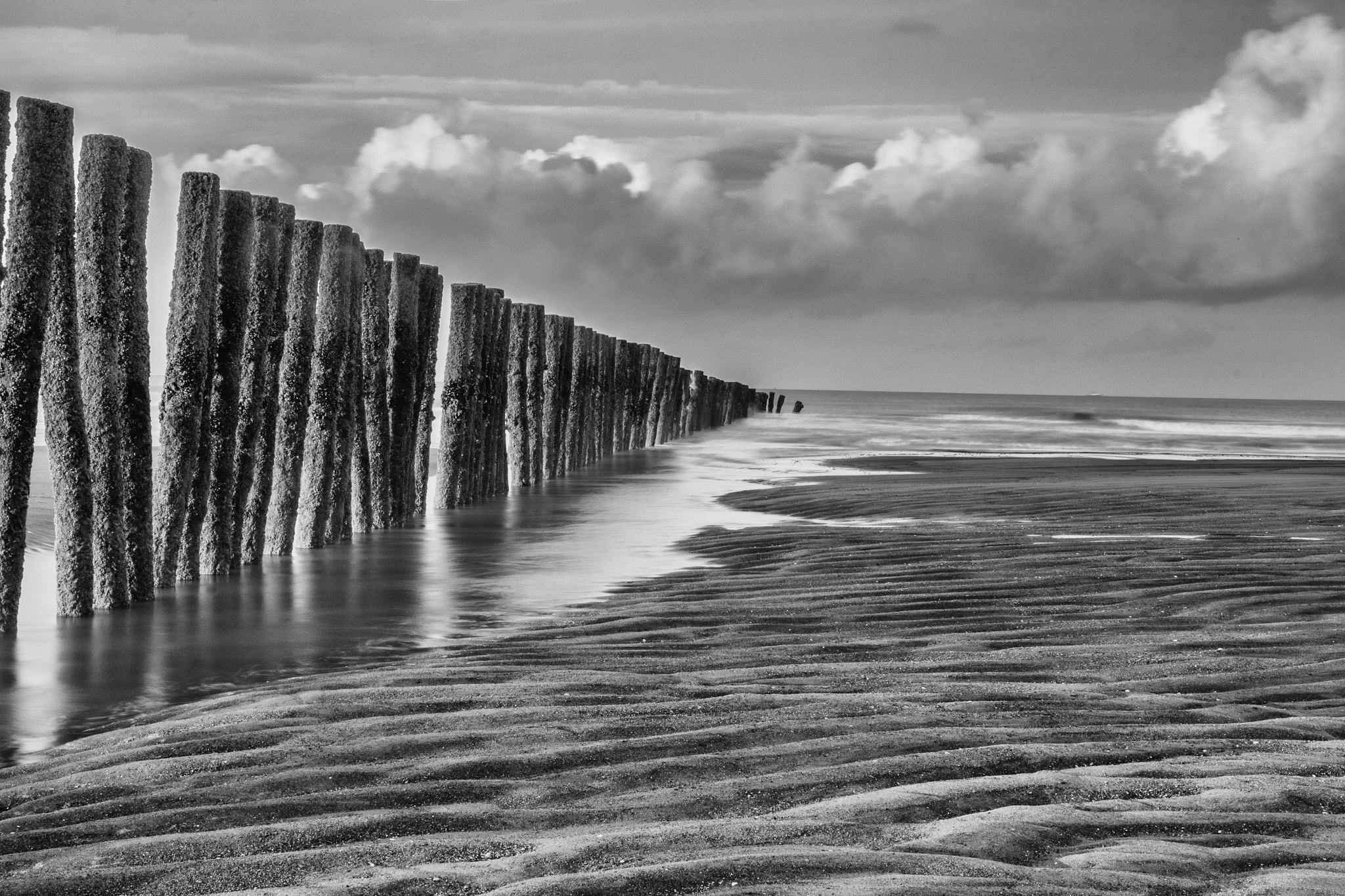 Canon EOS 70D + Canon EF 500mm F4L IS USM sample photo. Opaal coast photography