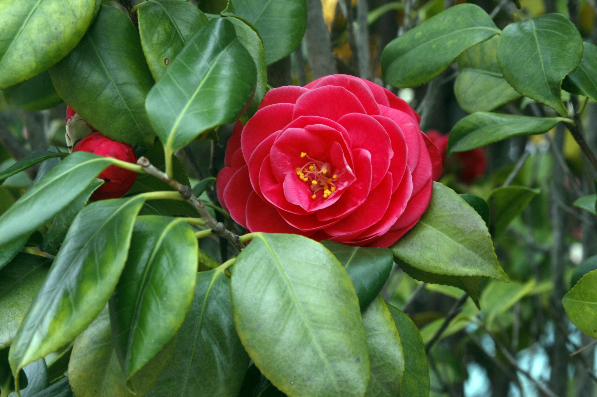 Canon EF 28-105mm f/3.5-4.5 USM sample photo