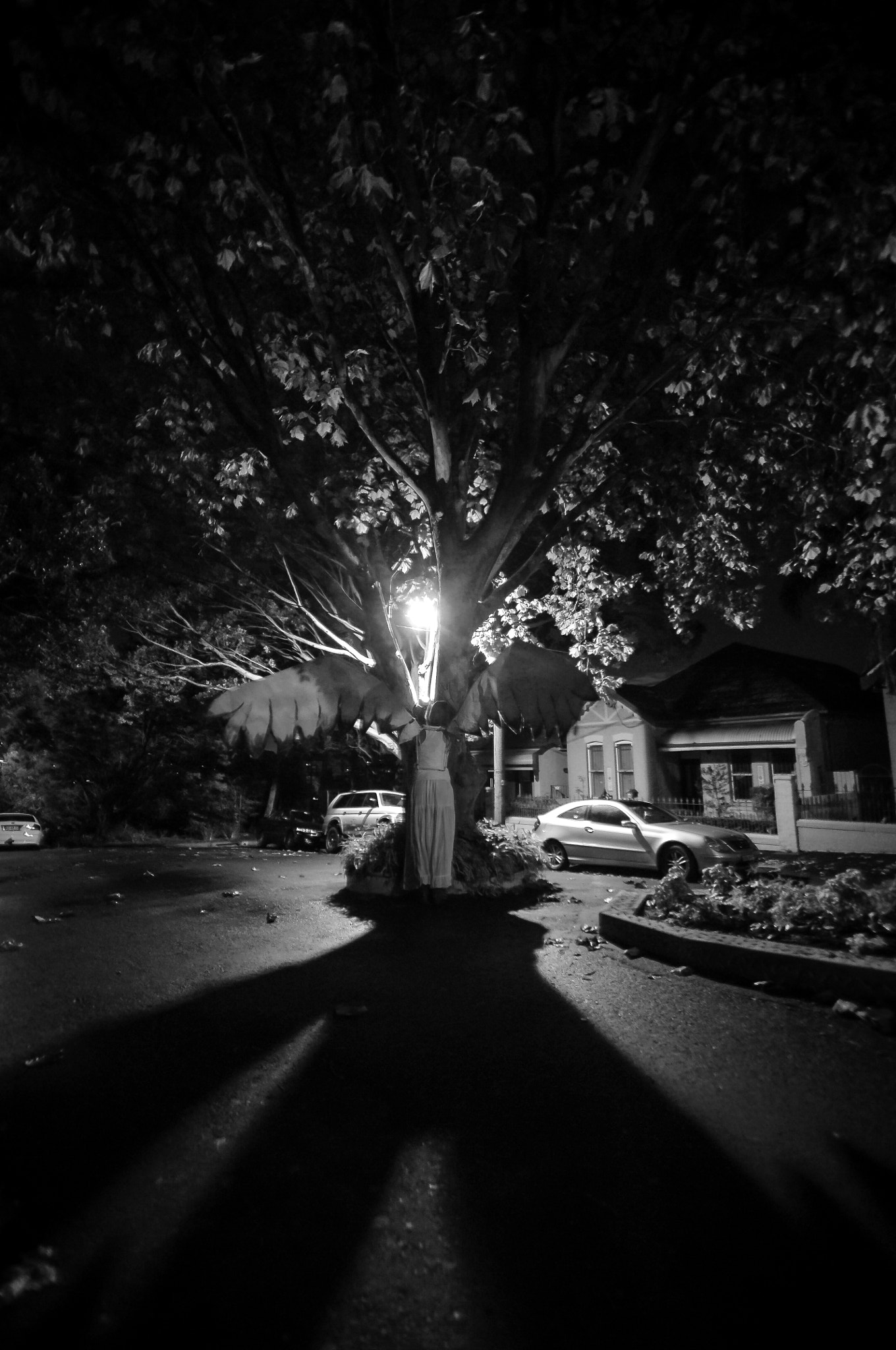 Nikon D2X sample photo. Angel series 2013 photography