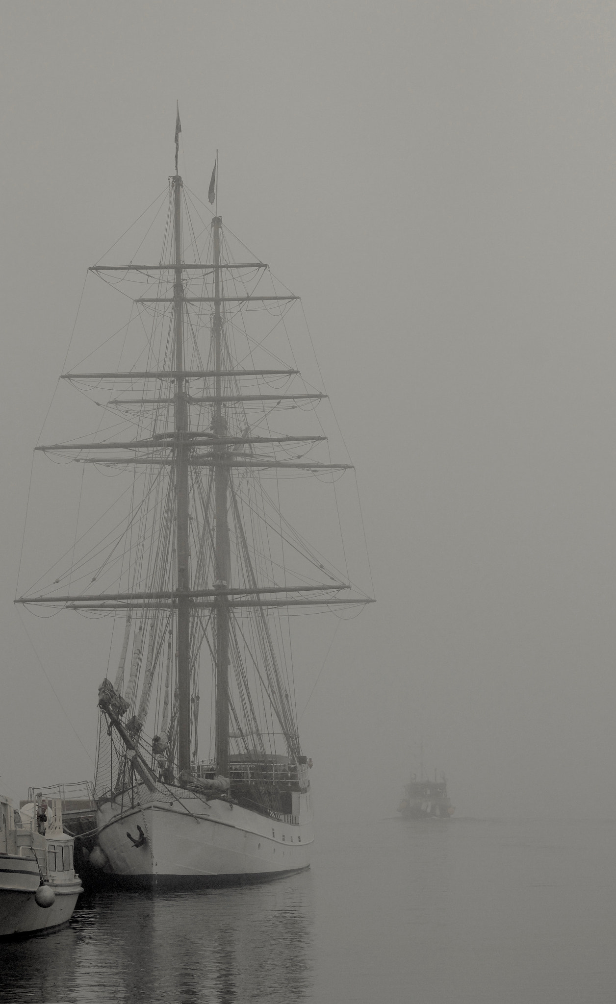 Sigma 70-200mm F2.8 EX DG OS HSM sample photo. Foggy day photography