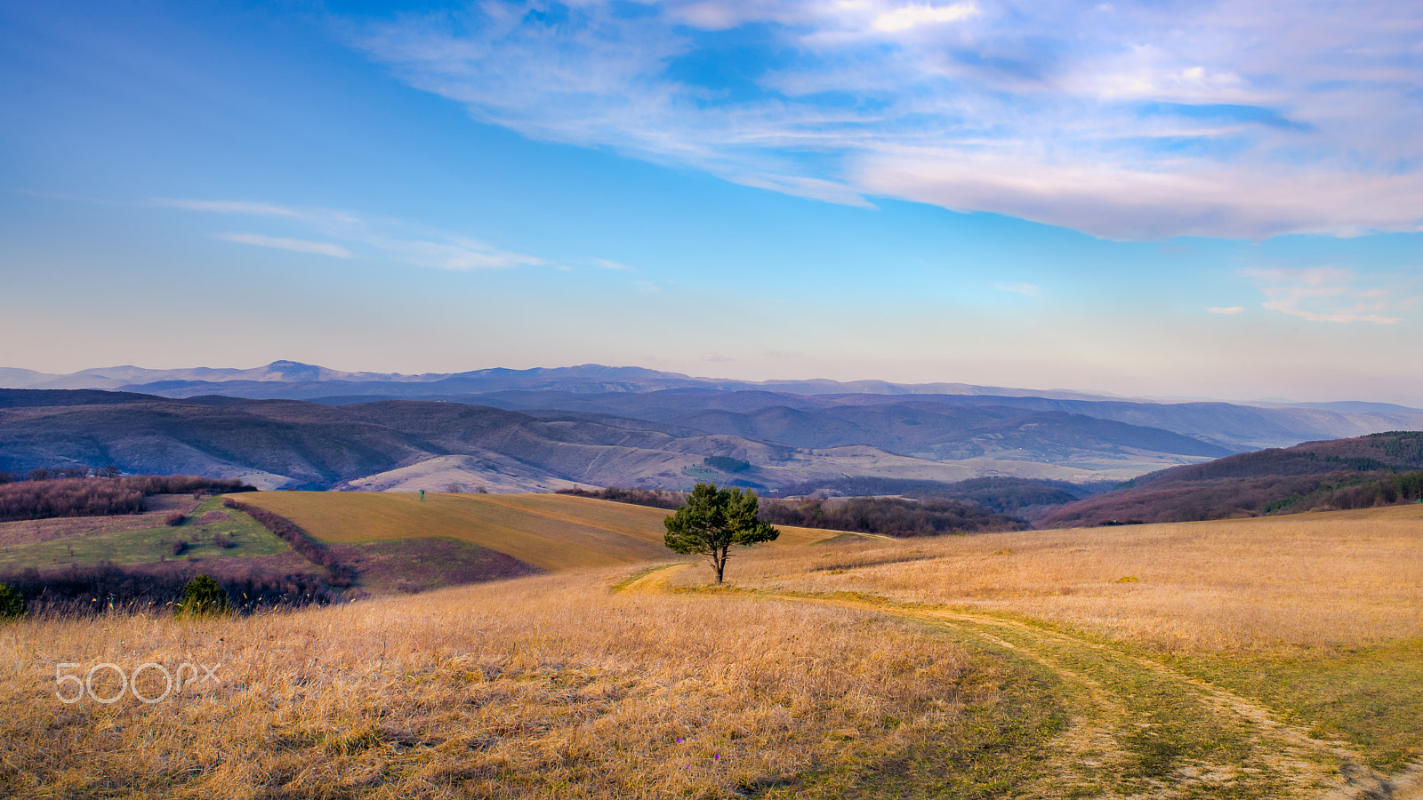 Nikon D600 + Sigma 24-70mm F2.8 EX DG Macro sample photo. Highlands ii. photography
