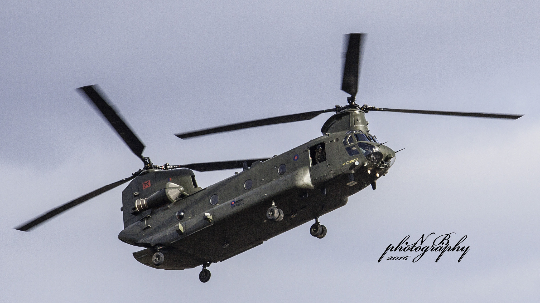 Canon EF-S 55-250mm F4-5.6 IS II sample photo. Shunuk photography