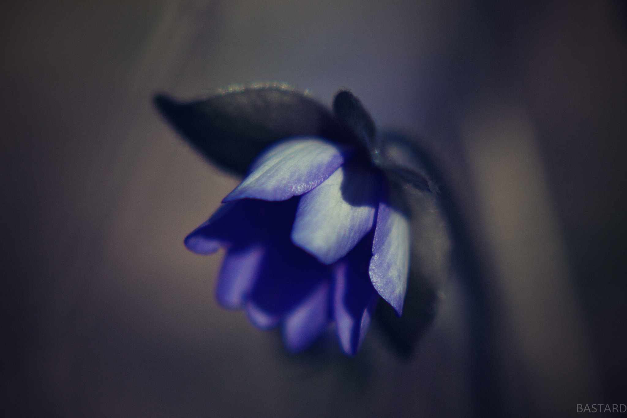 Canon EF 28-90mm f/4-5.6 sample photo. With my head down photography