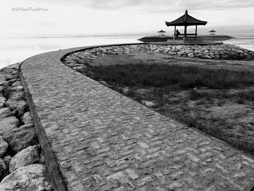CASIO EX-100 sample photo. Path of bali  photography