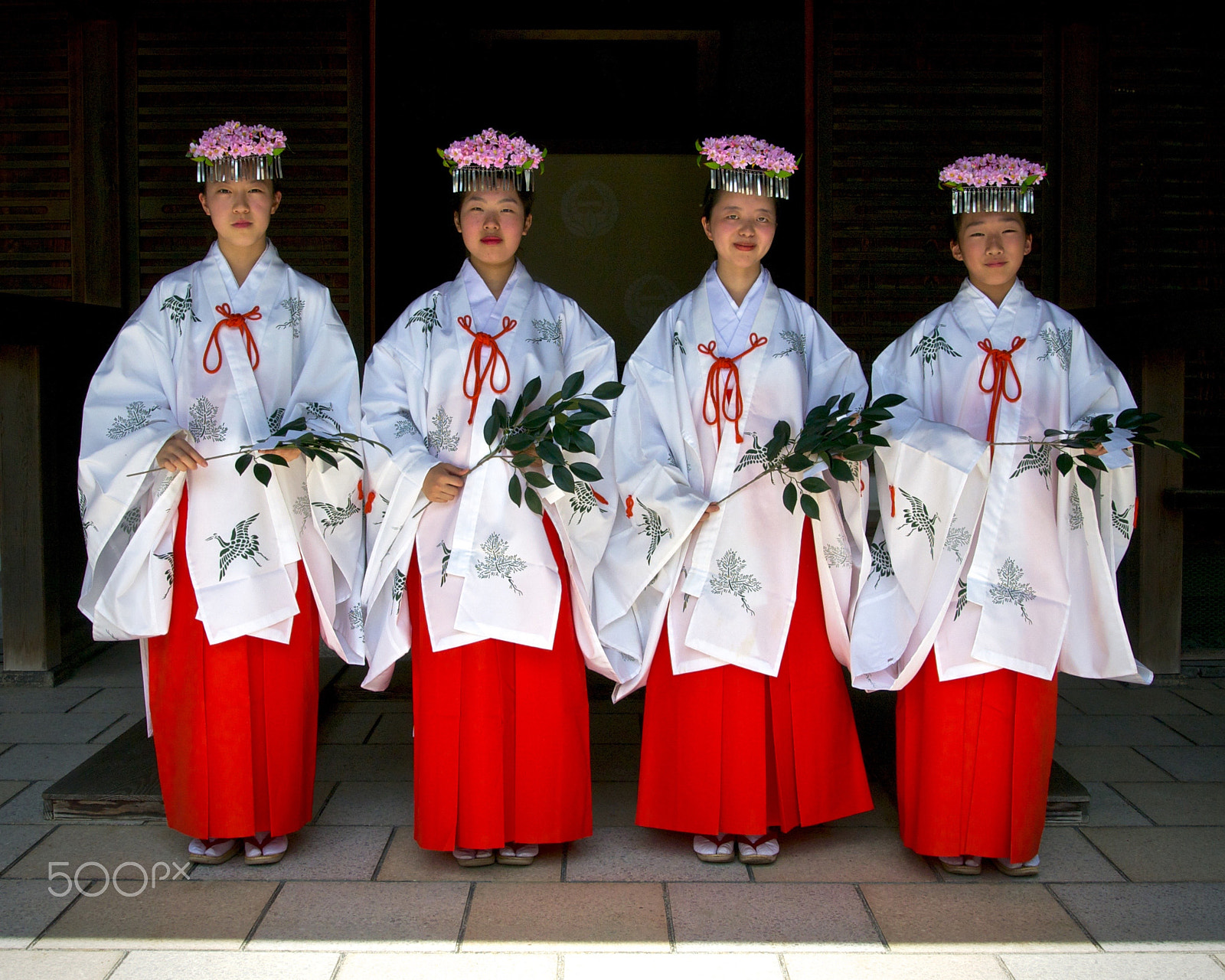 Nikon 1 J2 sample photo. Fujinomori shrine maidens (2) (new edit) photography