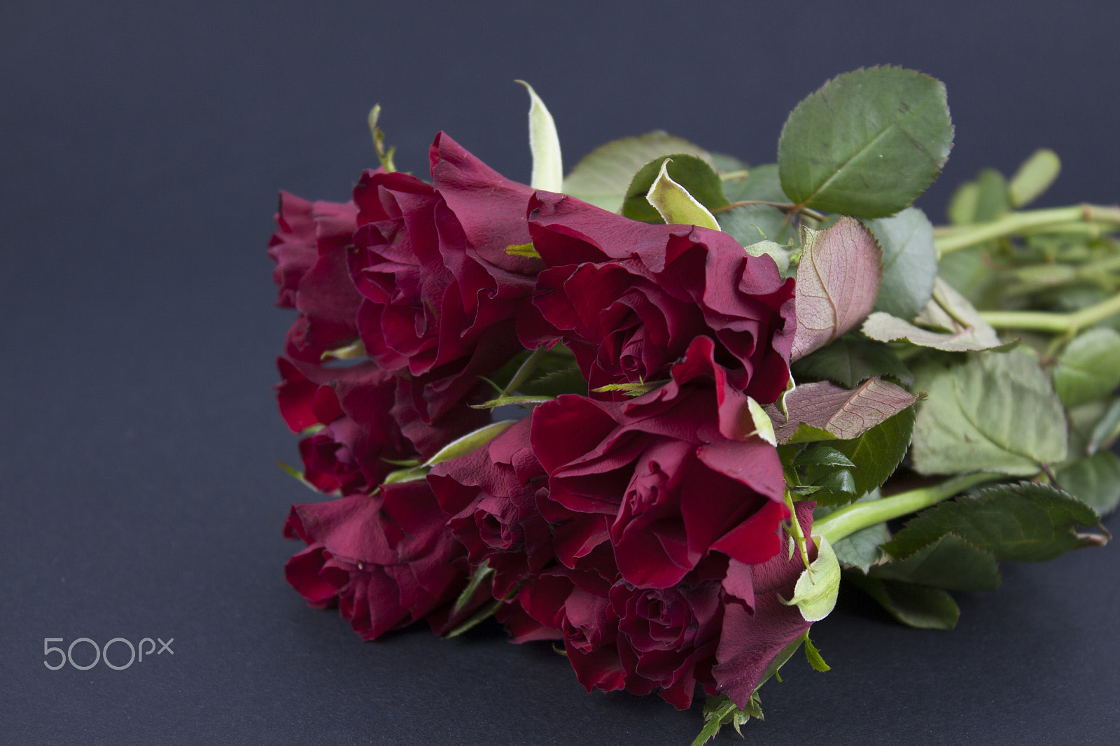 Canon EF-S 18-55mm F3.5-5.6 III sample photo. Red roses photography