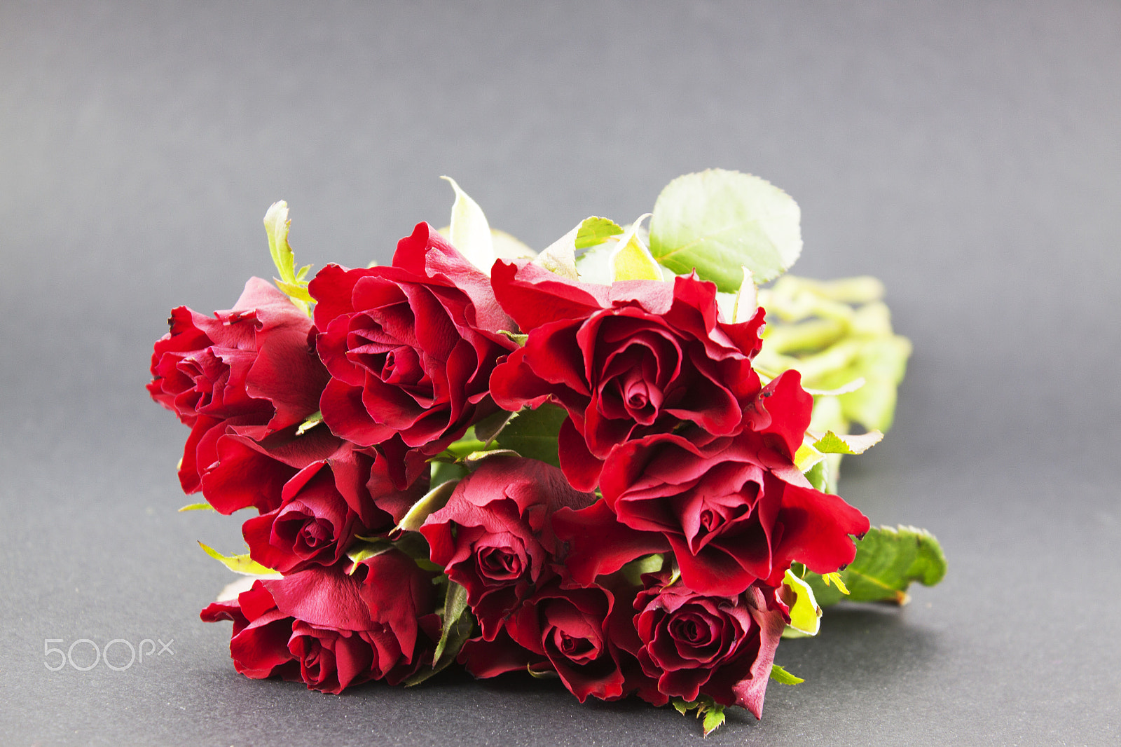 Canon EF-S 18-55mm F3.5-5.6 III sample photo. Red roses photography
