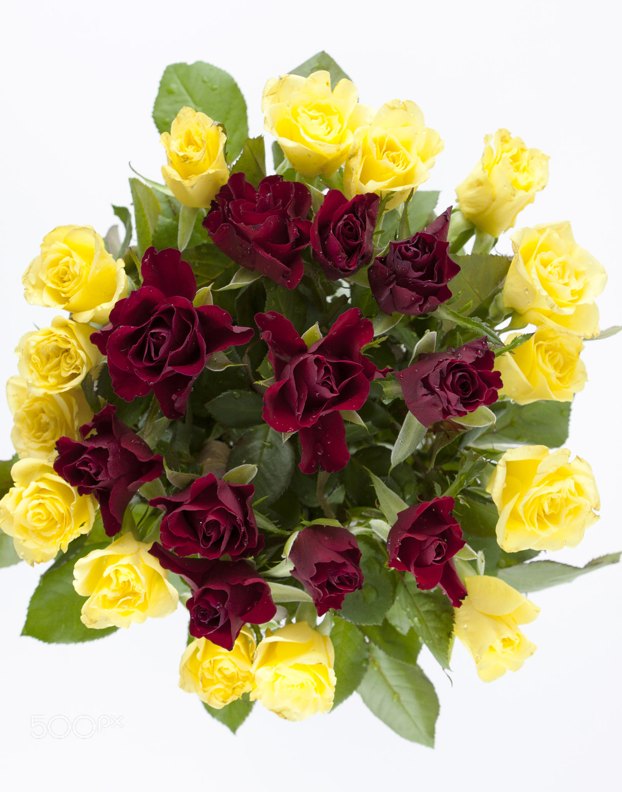 Canon EF-S 18-55mm F3.5-5.6 III sample photo. Arrangement with red and yellow roses photography