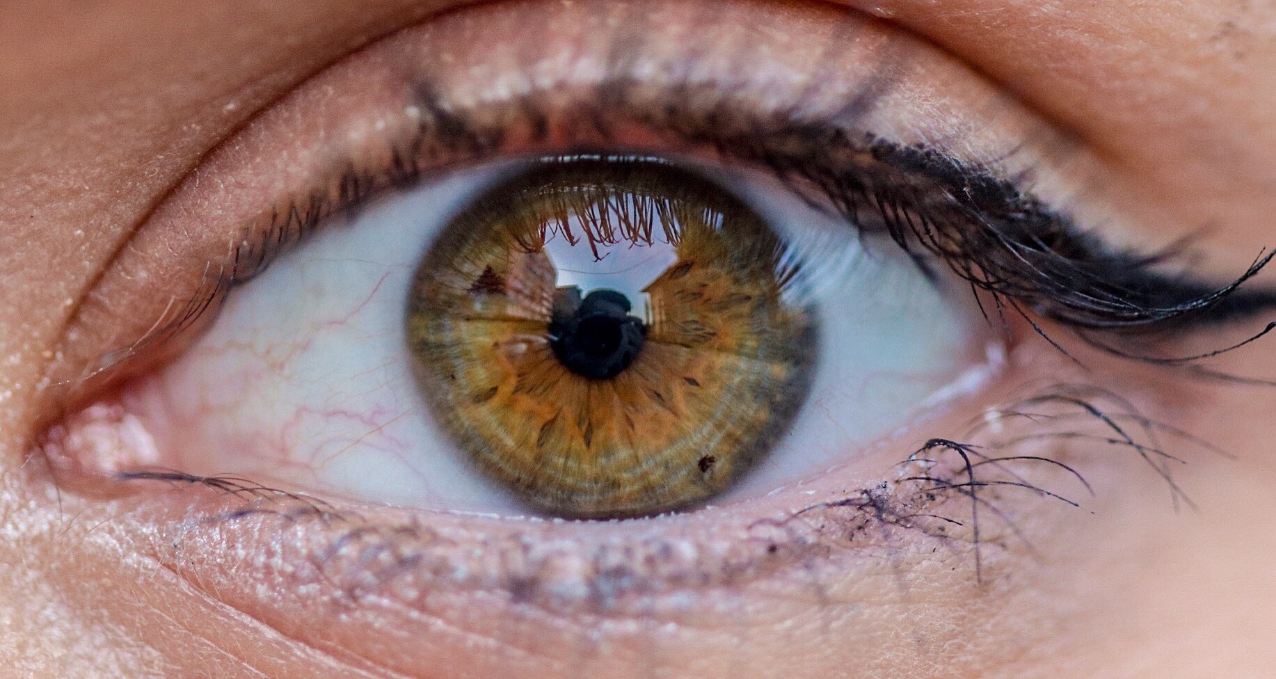 Canon EF 100mm F2.8 Macro USM sample photo. Green/brown eye photography