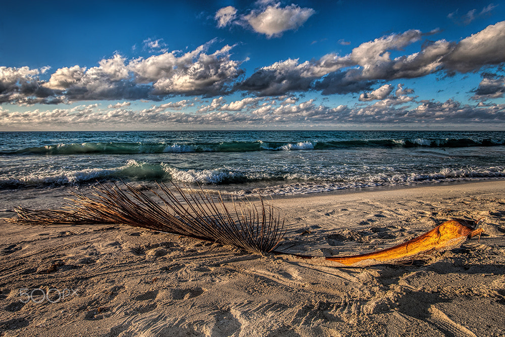 Sigma 17-35mm f/2.8-4 EX DG Aspherical HSM sample photo. Varadero cuba photography