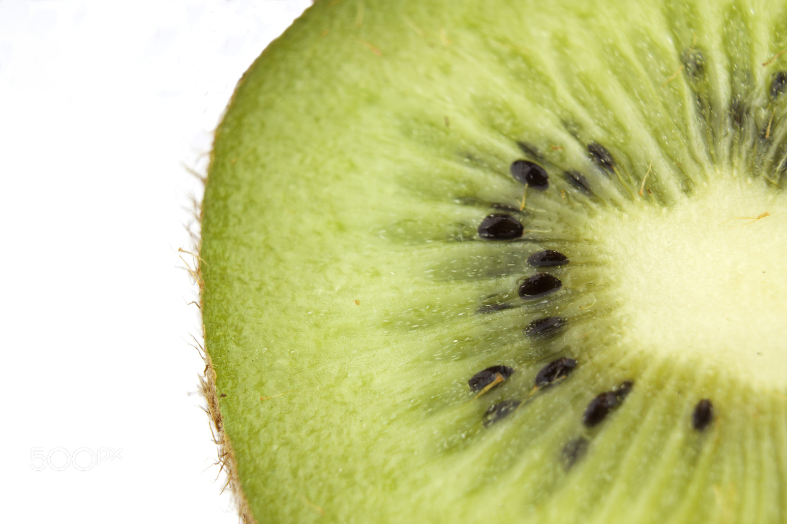 Canon EF-S 18-55mm F3.5-5.6 III sample photo. Section through a kiwi photography
