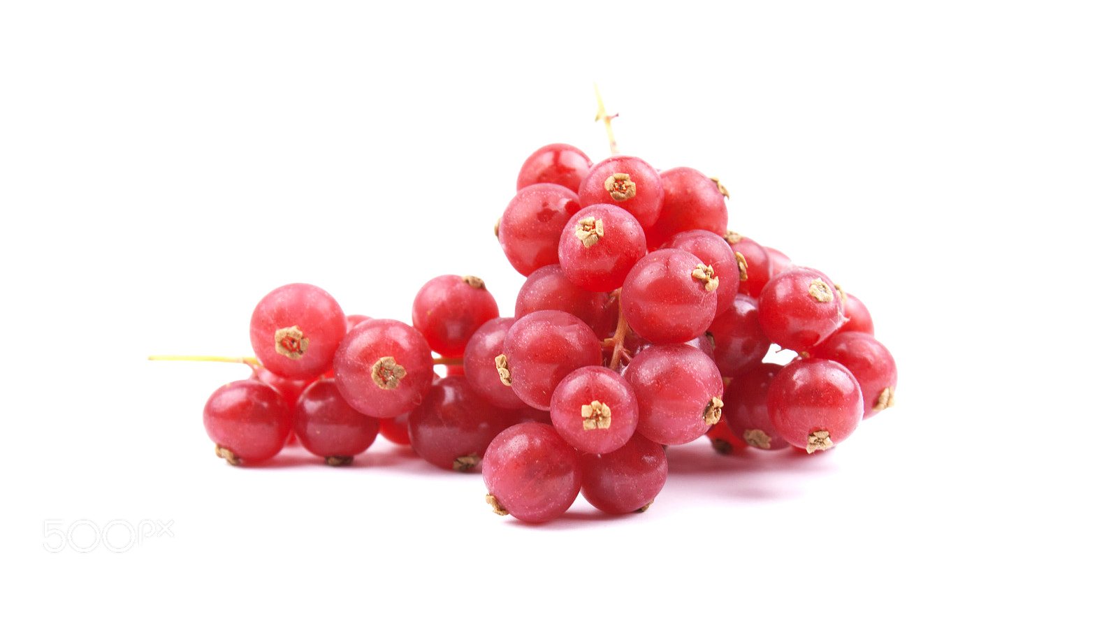 Canon EF-S 18-55mm F3.5-5.6 III sample photo. Red currant isolated on white photography