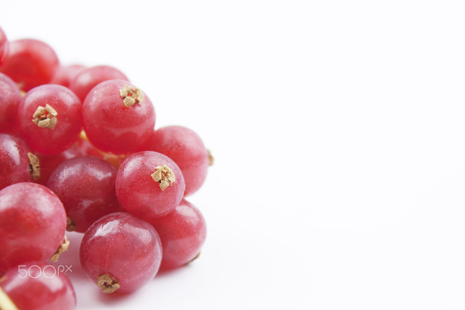 Canon EF-S 18-55mm F3.5-5.6 III sample photo. Red currant isolated on white photography