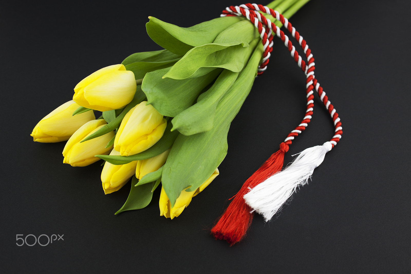 Canon EF-S 18-55mm F3.5-5.6 III sample photo. Beautiful tulips photography