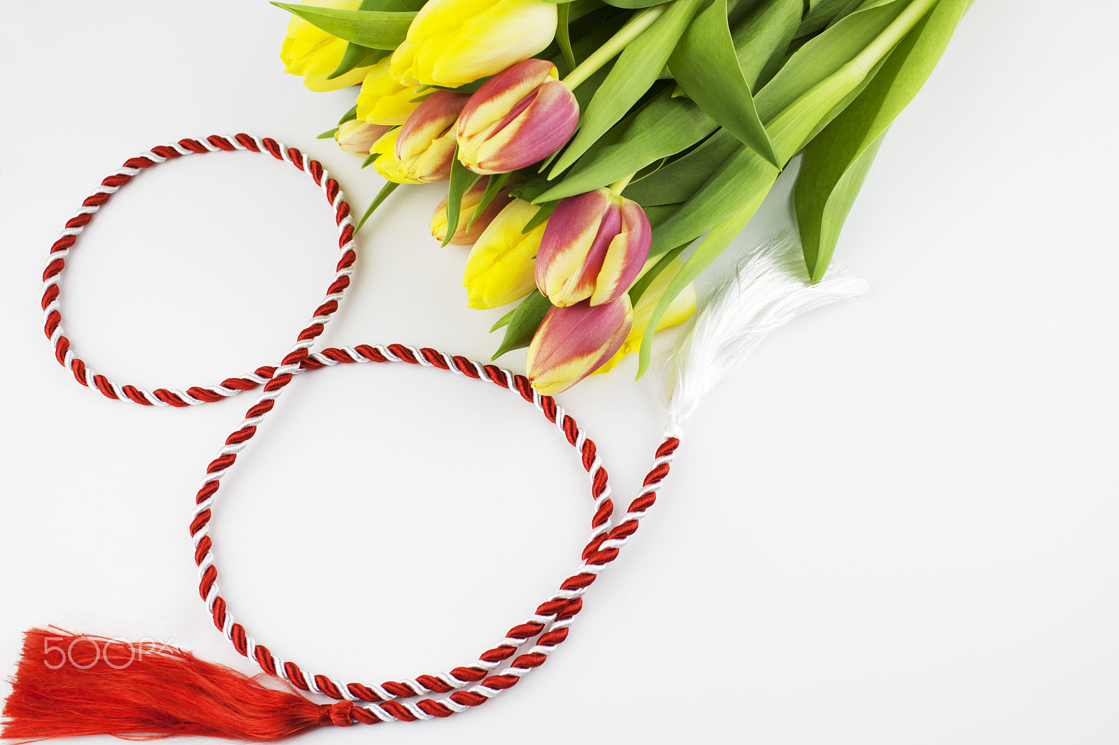 Canon EF-S 18-55mm F3.5-5.6 III sample photo. Tulips with white and red ribbon in the form of 8 photography