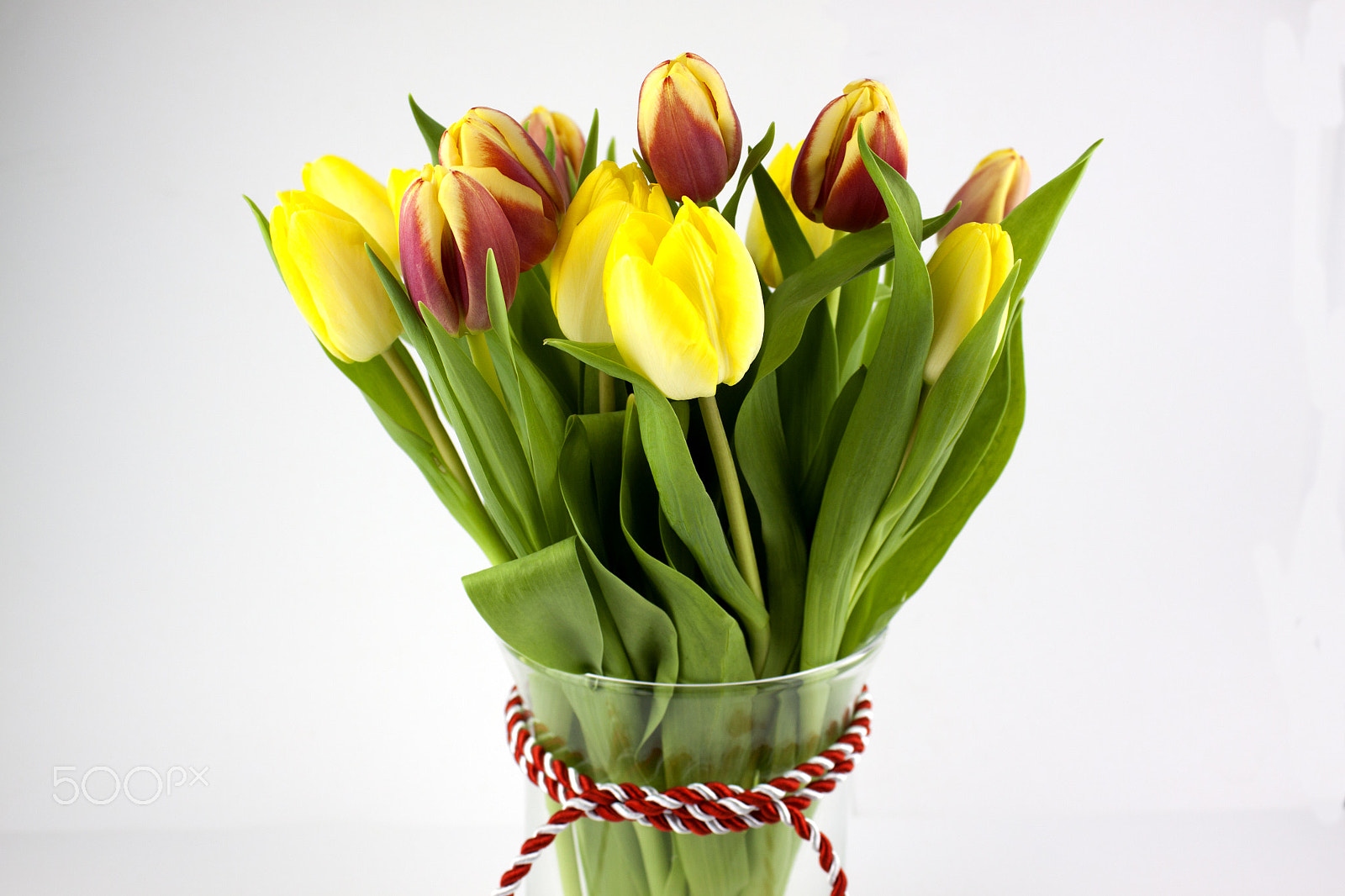 Canon EF-S 18-55mm F3.5-5.6 III sample photo. Beautiful tulips photography
