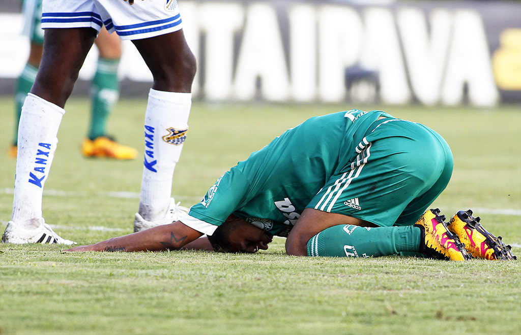 Canon EF 300mm f/2.8L sample photo. Agua santa x palmeiras photography