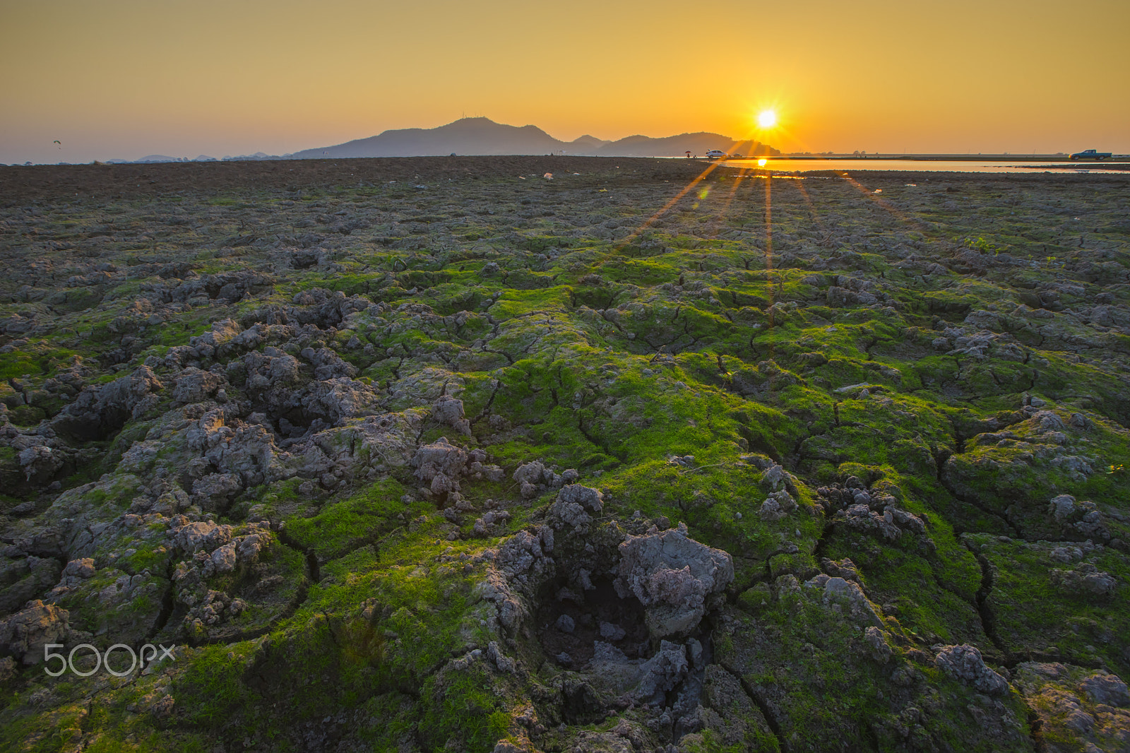 Sony a7 II + Canon EF 16-35mm F2.8L II USM sample photo. Grass photography