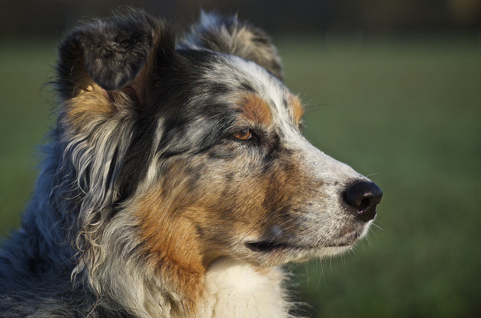 Pentax K-30 + Pentax smc FA 77mm 1.8 Limited sample photo. That´s the look photography