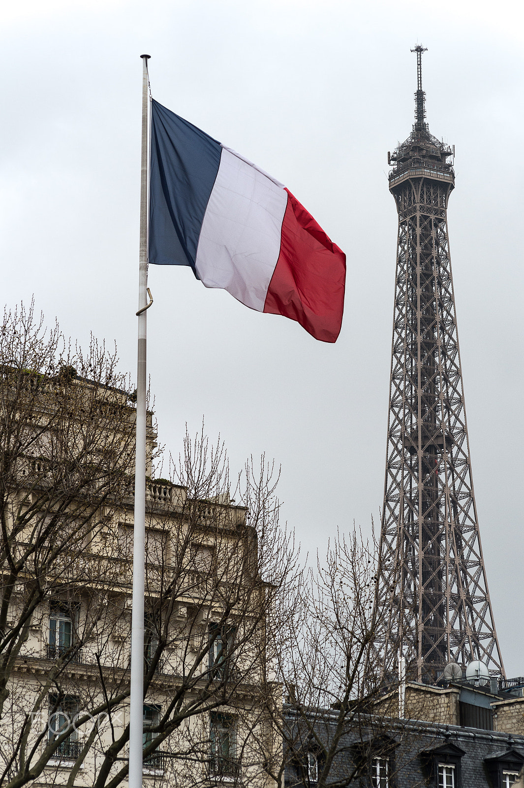 Nikon Df + AF Nikkor 70-210mm f/4-5.6 sample photo. Paris photography