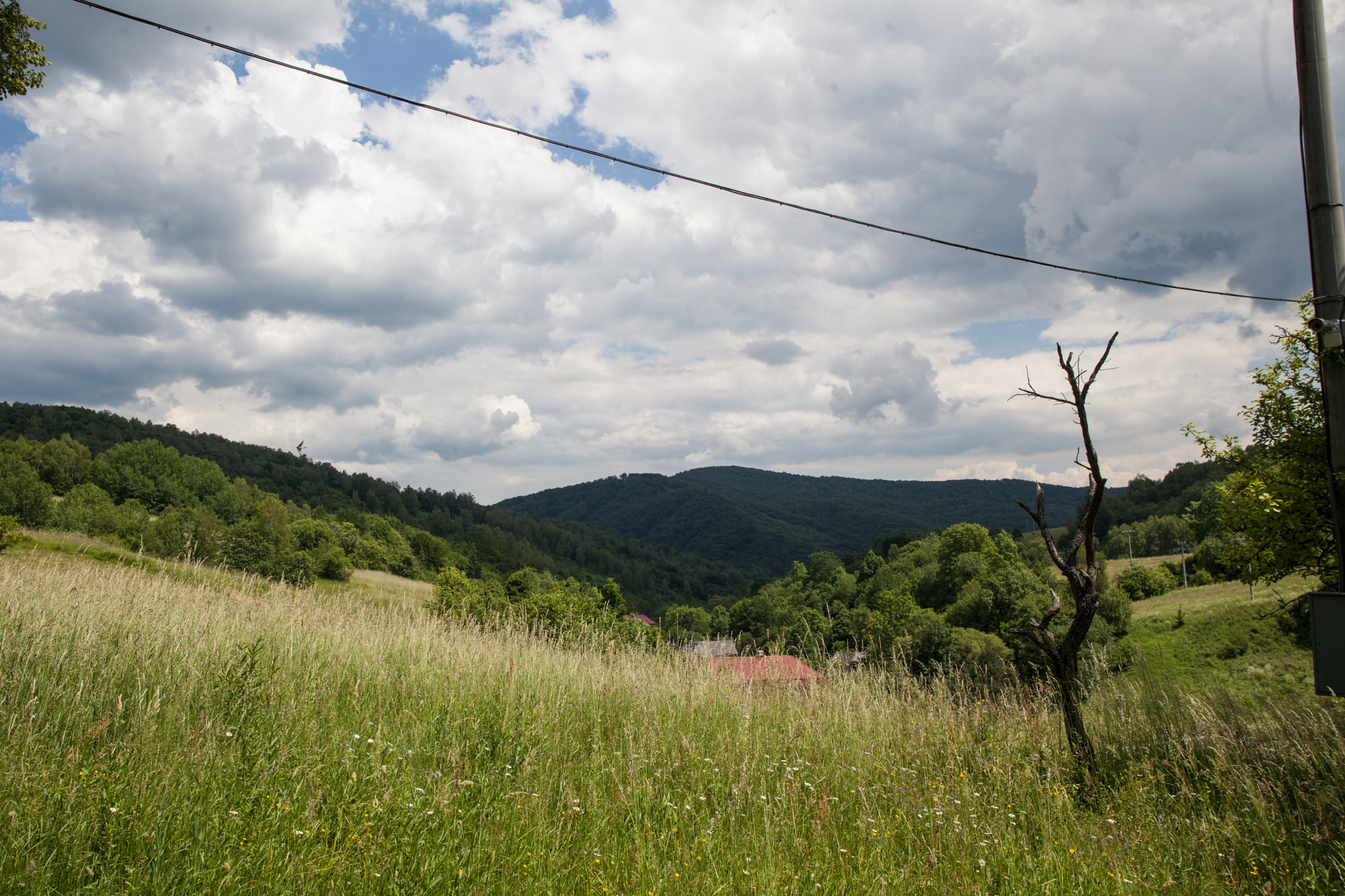 Canon EOS 5D Mark II + Sigma 28mm f/1.8 DG Macro EX sample photo. Into the wild photography