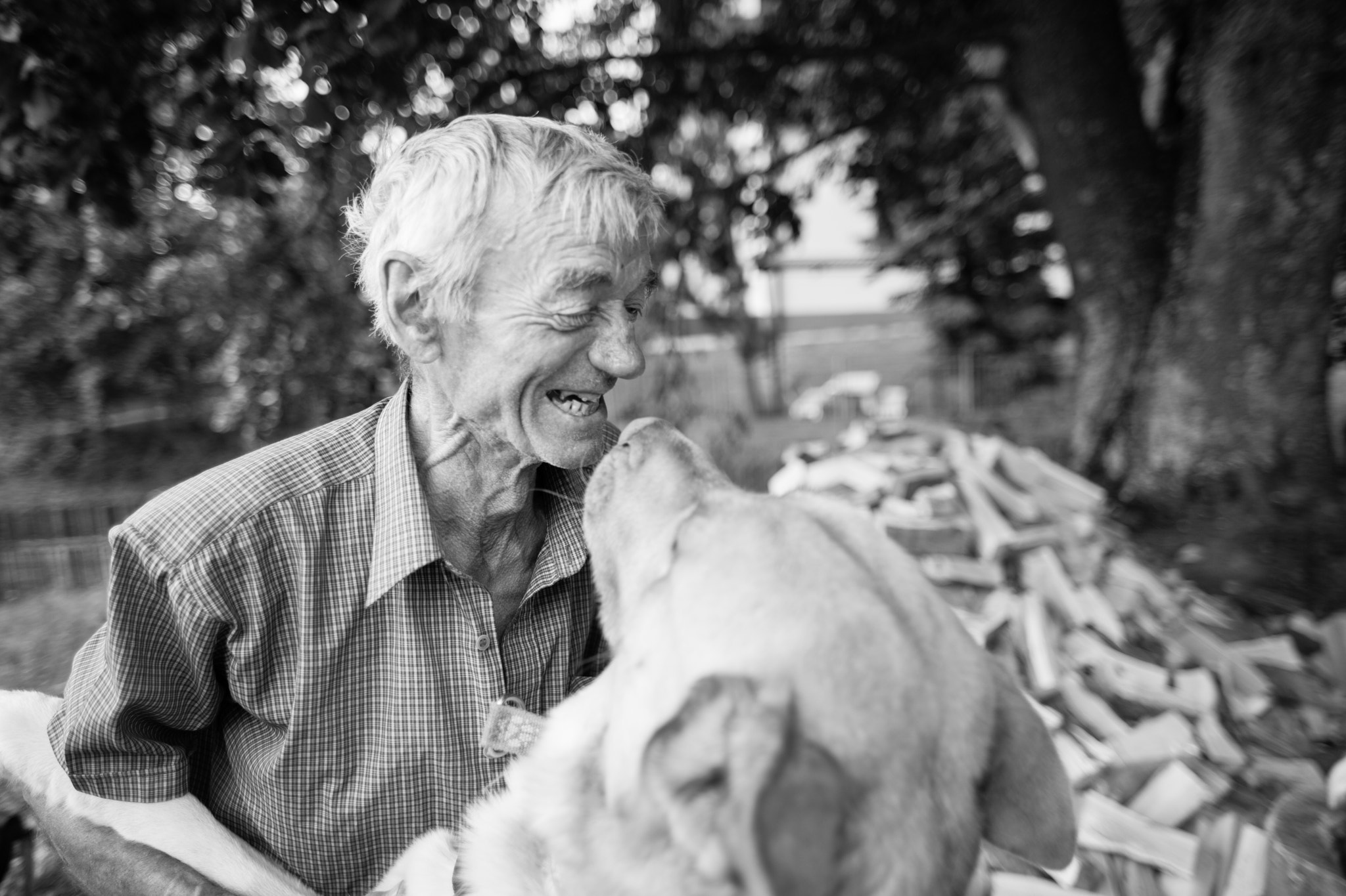 Sigma 28mm f/1.8 DG Macro EX sample photo. When the czech dog  meets slovakian senior photography