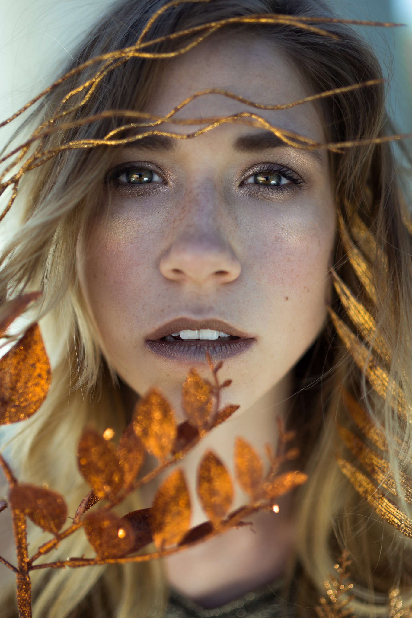Sony Planar T* 50mm F1.4 ZA SSM sample photo. About gold photography