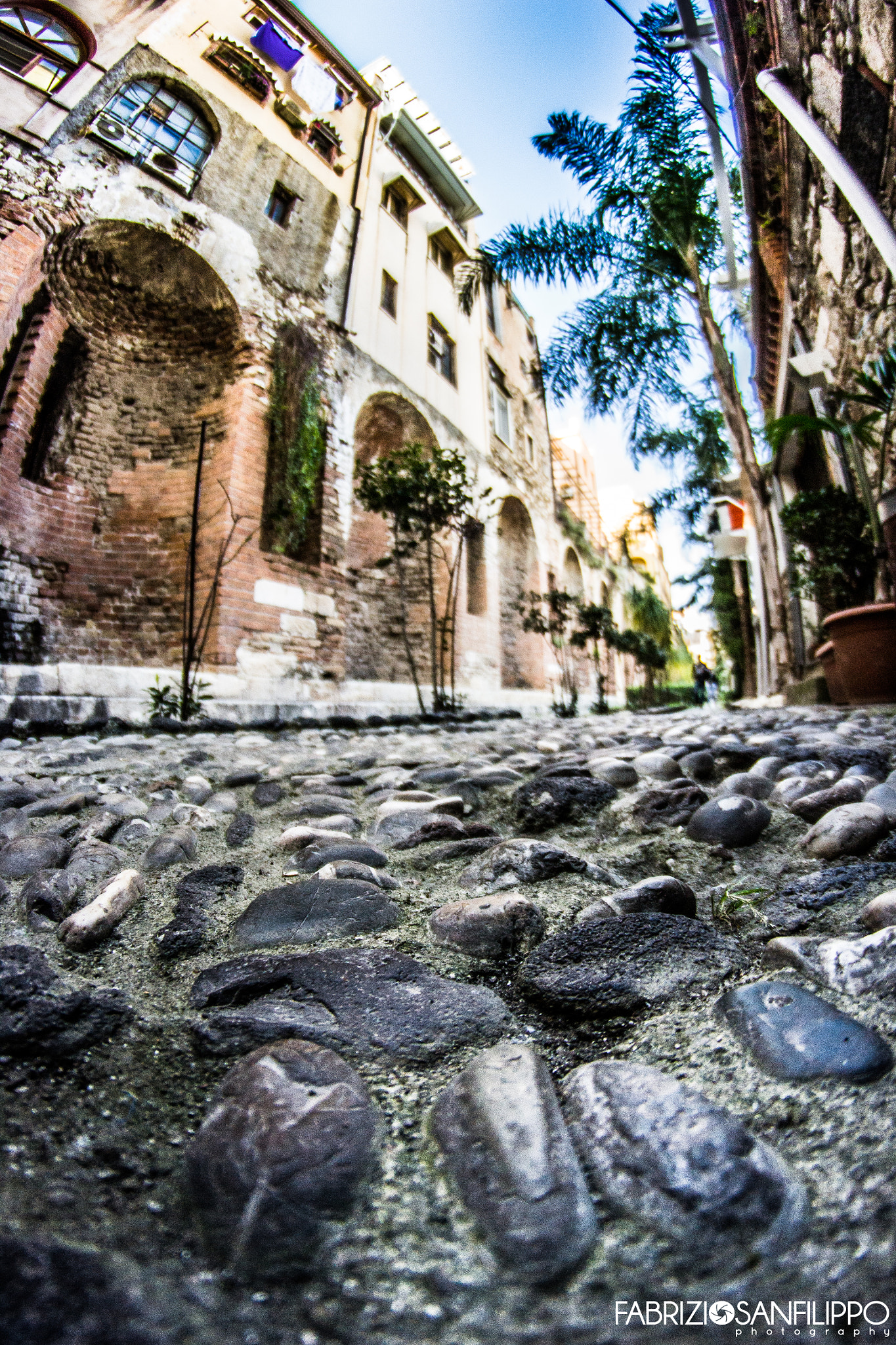 Samyang 8mm F3.5 Aspherical IF MC Fisheye sample photo. Naumachia photography