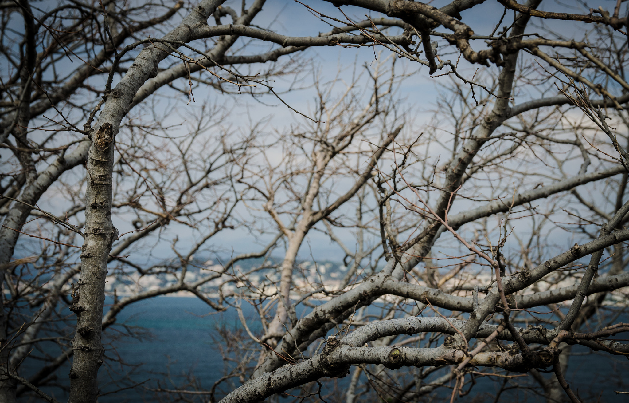 Sigma 17-70mm F2.8-4 DC Macro OS HSM | C sample photo. Cannes photography