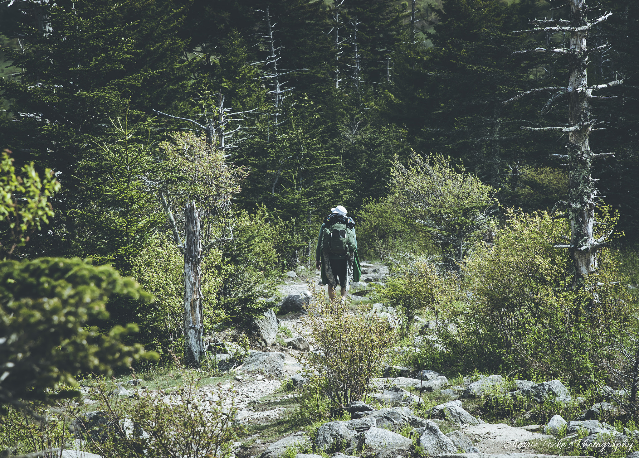 Canon EF 24-70mm F2.8L II USM sample photo. Hiker on the at ghsp photography