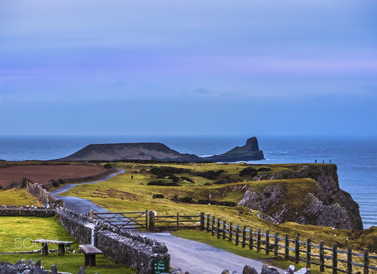 Nikon D7100 + Sigma 18-50mm F3.5-5.6 DC sample photo. Worms head photography