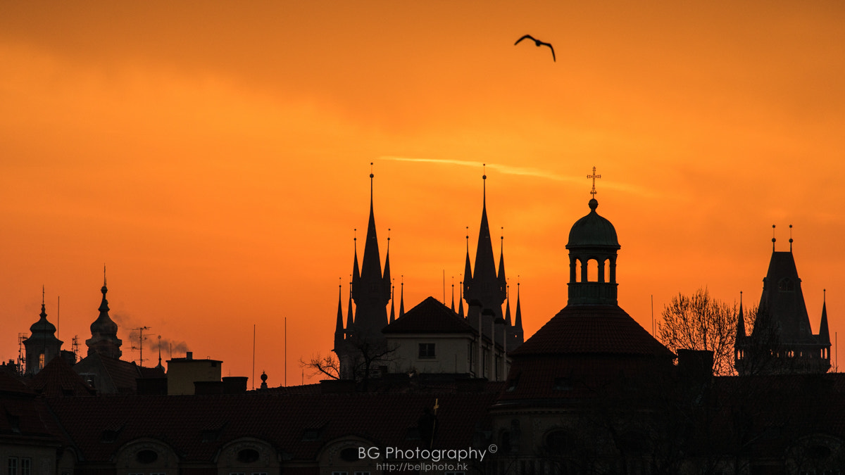 Sony a7 II + Canon EF 70-200mm F4L IS USM sample photo. Sunrise silhouette. photography