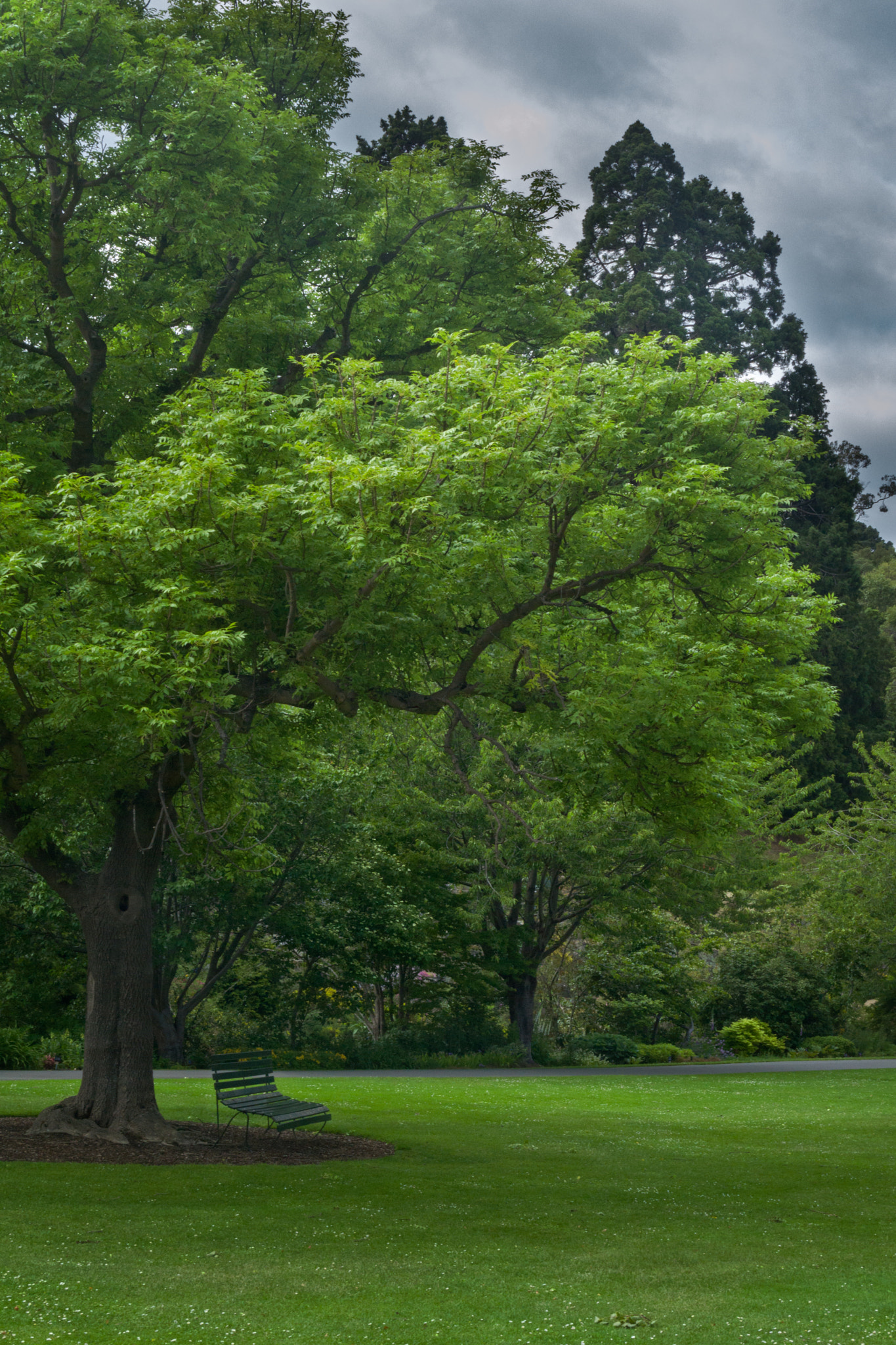 Sony a6000 + Sony Sonnar T* FE 35mm F2.8 ZA sample photo. A bench in the park photography